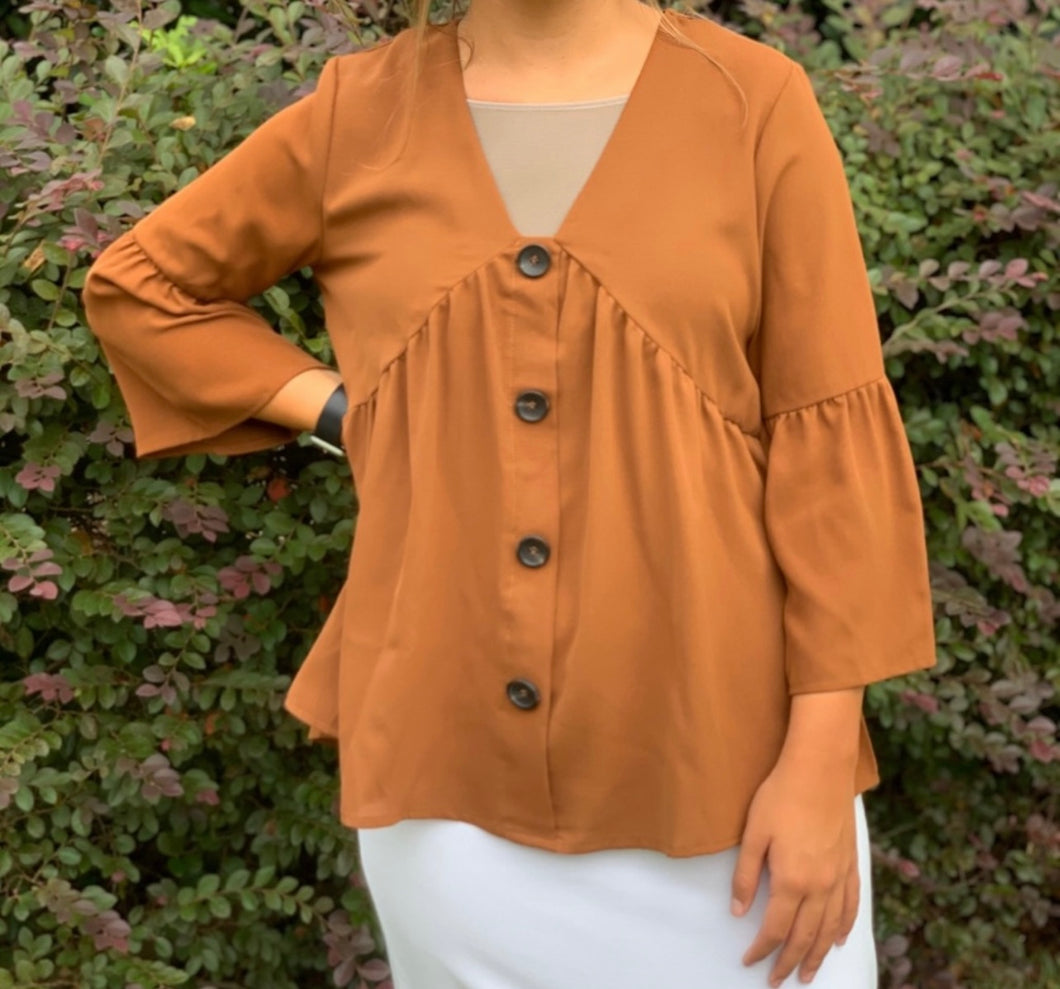 Sheer Rust Button Blouse