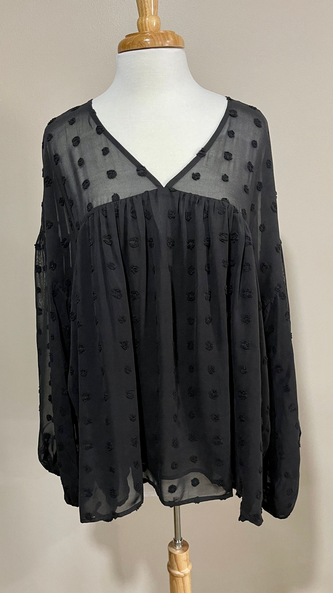 Plus Size Sheer  Blouse